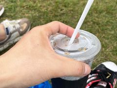 -上海国际音乐村