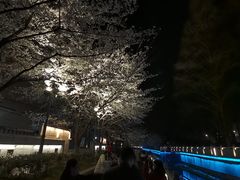 -狮王府淮扬菜(夫子庙老门东店)
