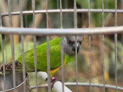 -南宫五洲植物乐园