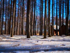 -塞罕坝国家级自然保护区