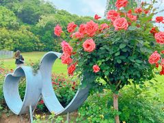 -上海辰山植物园