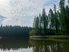 -黄海国家森林公园