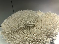 -福州罗源湾海洋世界旅游区