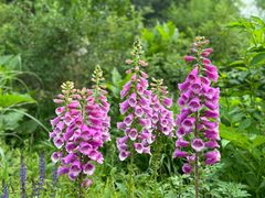 -北京植物园-展览温室