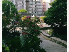 -乌山风景区