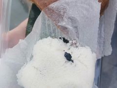 -锦记糕点铺
