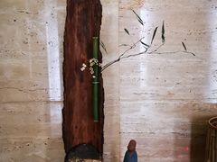 -九华山聚龙大酒店