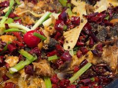 -老板恋上鱼(恒隆广场店)