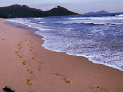 -西涌国际滨海旅游区