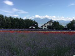 -富田农场