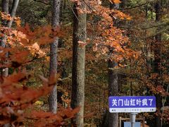 -关门山森林公园