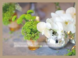 -上海虹桥锦江大酒店·宴会厅