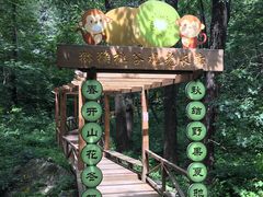 -大岭沟猕猴桃谷风景区