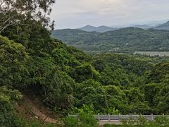 -广州市帽峰山景区