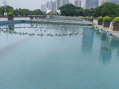 -秋水广场音乐喷泉