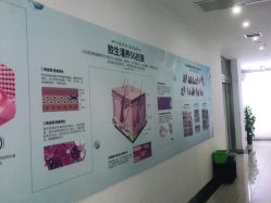 -AIST爱思特医疗美容医院
