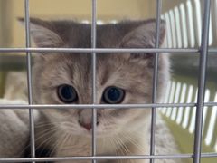 -中农国际动物医院24小时·猫科·骨科·急重症中心