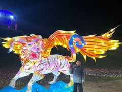 -大塘金香草谷