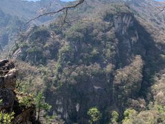 -牛背梁国家森林公园