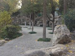 -莲湖公园