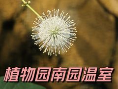 -北京植物园-展览温室