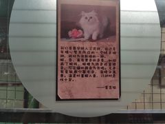 -猫咪博物馆(顶澳仔猫街店)
