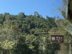 -野象谷景区