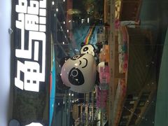 -龟与熊猫宠物公园(南坪店)