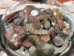 -前王院•巧克力海鲜市集餐厅(万平口店)