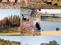 -南京银杏湖乐园