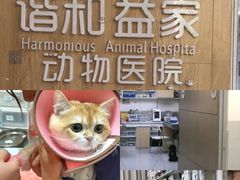 -谐和益家动物医院·免疫绝育·血液透析·宠保定点医院(高新伊藤分院)
