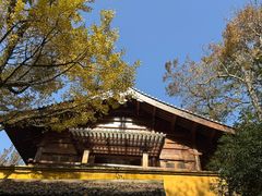 -湖畔居茶楼(湖滨店)