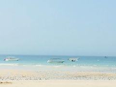 -北海金海湾红树林生态旅游区