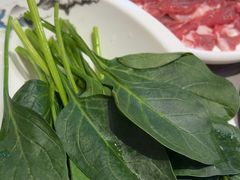 -蜀留香火锅·始于1999·原四川老火锅(白堤路店)