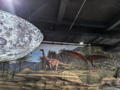 -辽宁古生物博物馆