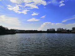 -上海长兴岛郊野公园