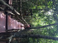 亚龙湾人间天堂-鸟巢度假村-三亚亚龙湾人间天堂鸟巢度假村