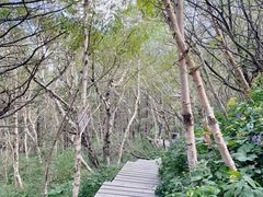 -白草畔自然风景区