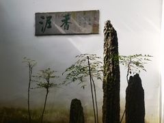 -绮园景区