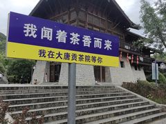 -大唐贡茶院