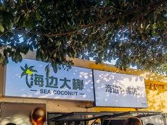 -海角城白海豚浪漫海滩