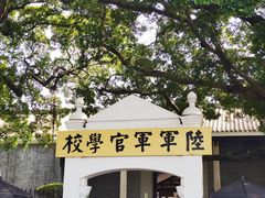 -长洲岛