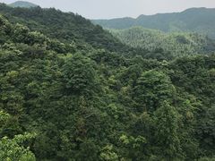 山顶-滴水洞景区
