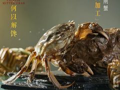 -阳澄湖半岛旅游度假区