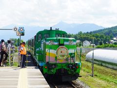 -富田农场