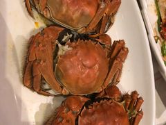 -欢乐海岸美食联盟