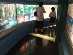 -上海昆虫博物馆