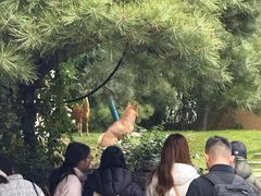 -龙华素斋(龙华路店)