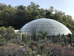 -深圳仙湖植物园