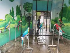 -西安秦岭野生动物园